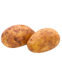 Papa Russet