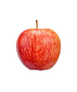 Manzana Gala