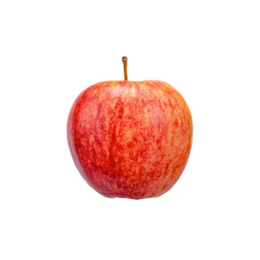 Manzana Gala