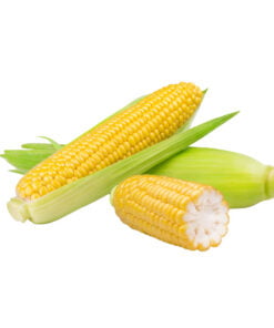 Elote amarillo