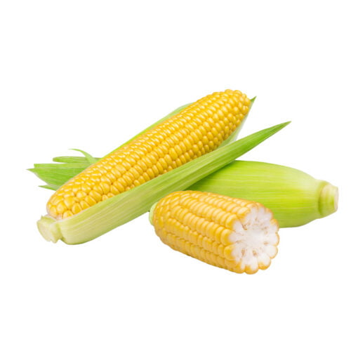 Elote amarillo