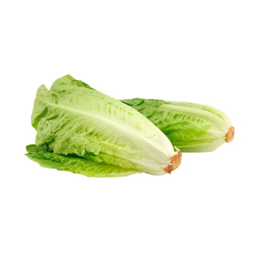 Lechuga Romana