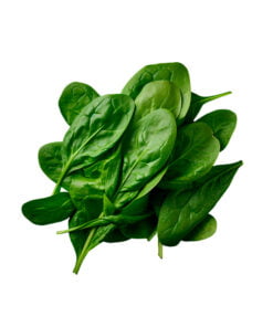 Espinaca Fresca