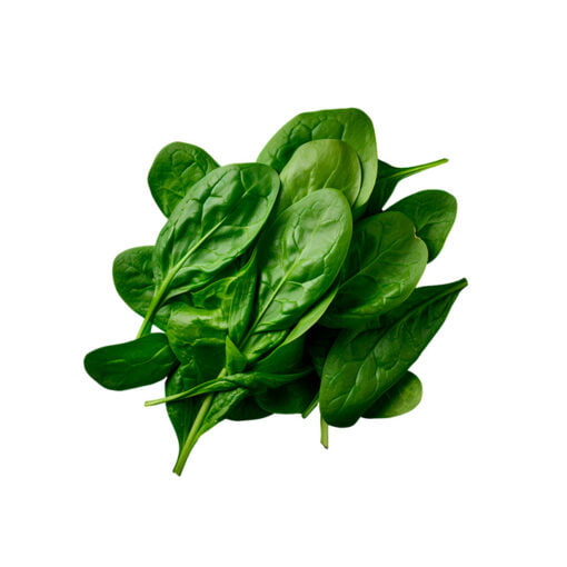 Espinaca Fresca