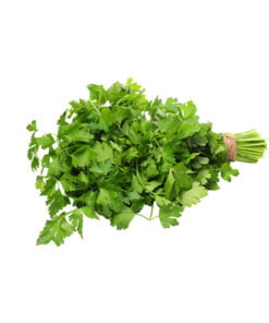 Cilantro fresco