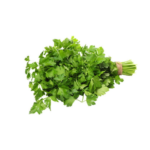 Cilantro fresco