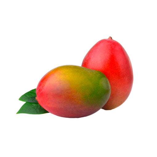 Mango tommy