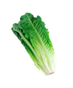 Lechuga Corazon Romana 624 G Pza
