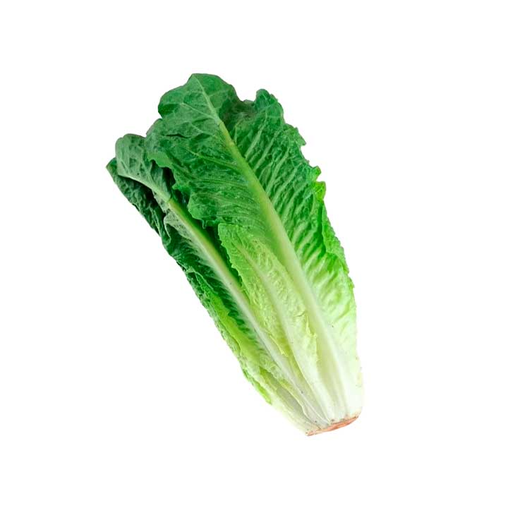 Lechuga Corazon Romana 624 G Pza